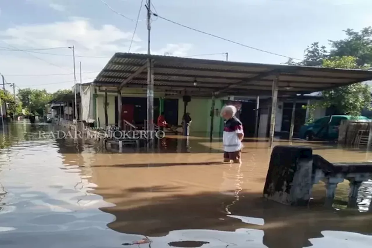 8.000 Lebih Warga Kota Padang Terdampak Banjir hingga 1,5 Meter