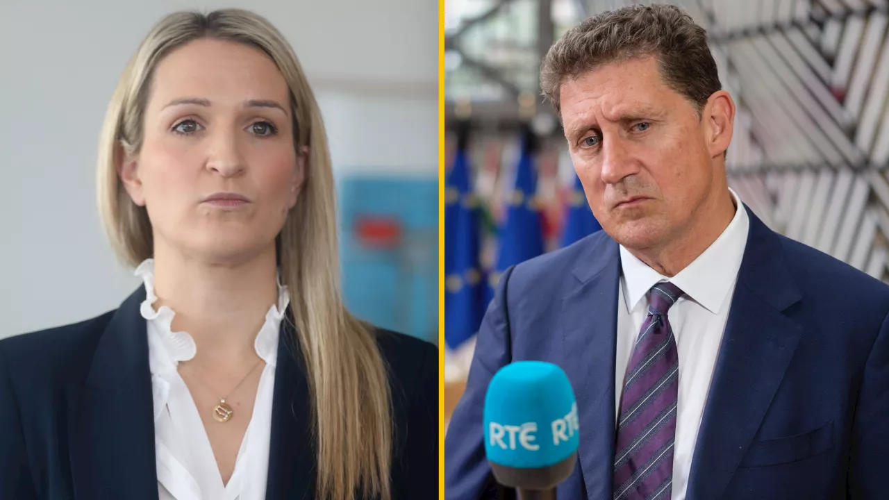 Eamon Ryan flying 12,000km during climate summit in Dubai for Helen McEntee confidence vote