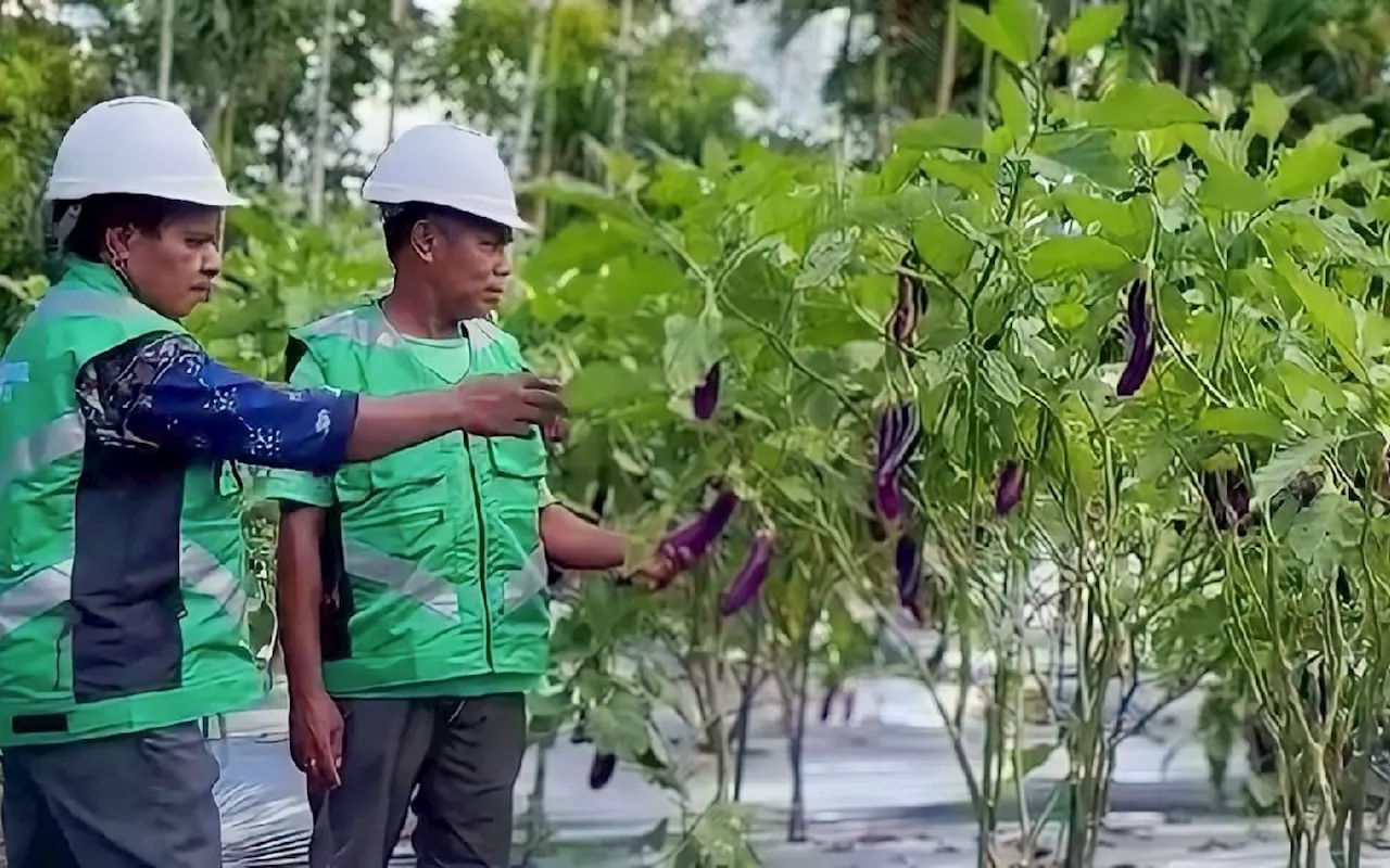 Dulu Penerjemah Bahasa, kini Jadi Pengusaha Berkat PTFI