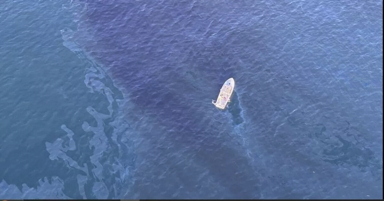 Authorities investigate oily sheen off Southern California coast