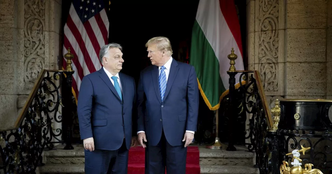 Nach Treffen: Orban lobte Trump als 'Präsidenten des Friedens'