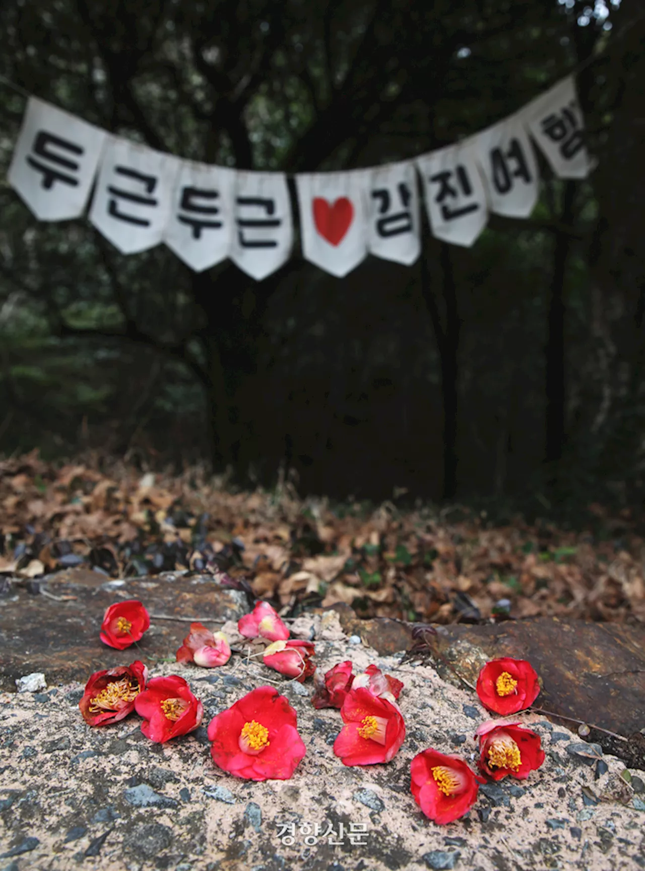 “여행비 ‘절반’ 돌려드려요” 반값여행 내세운 강진···봄으로 물든 남도답사 1번지