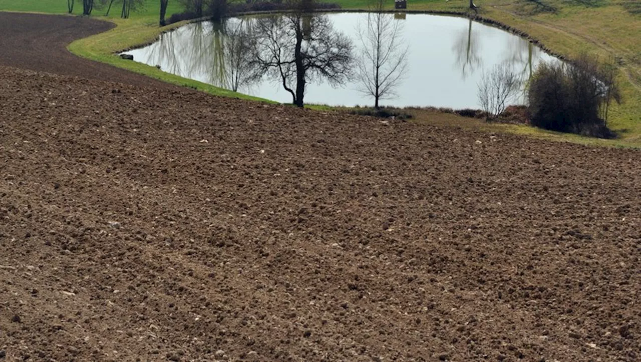 Colère des agriculteurs : de nouveaux projets de retenues d'eau bientôt lancés en Tarn-et-Garonne