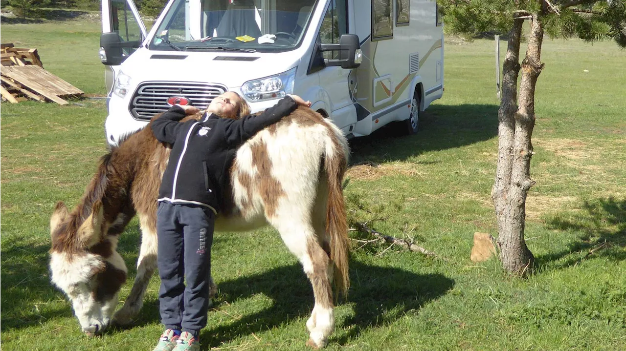 Carpentras : France Passion sort son guide dédié aux camping-caristes