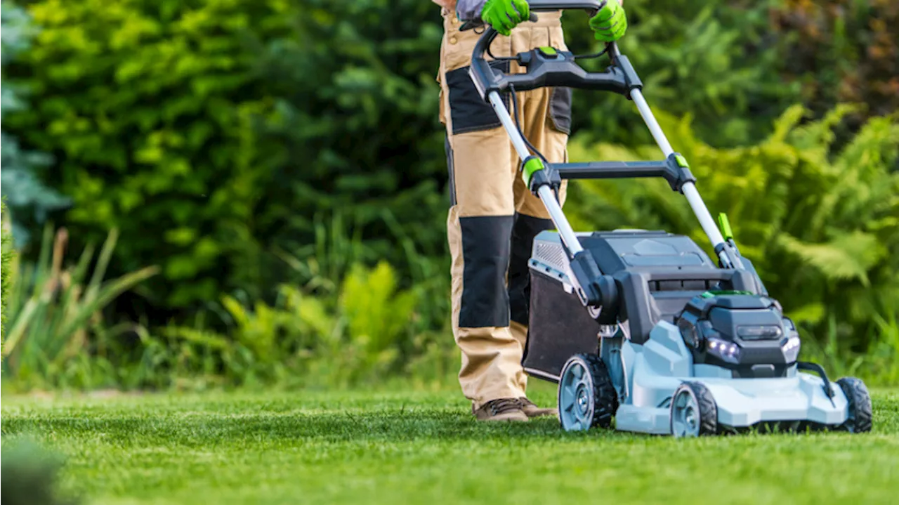 Préparez le printemps avec les tondeuses en promotion