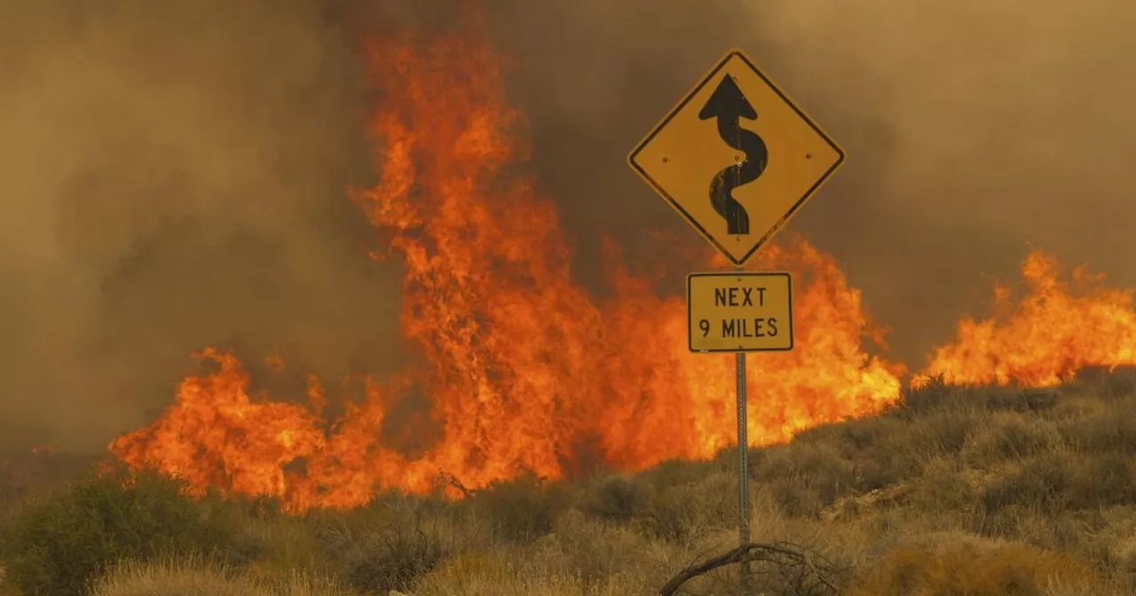 After winter storms, California can expect a late start to the wildfire season