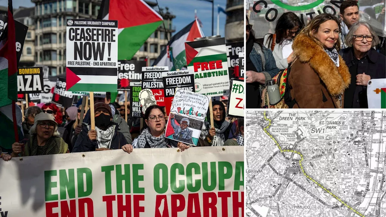 Man carrying anti-Hamas placard mobbed then arrested while thousands marched for Palestine in central London