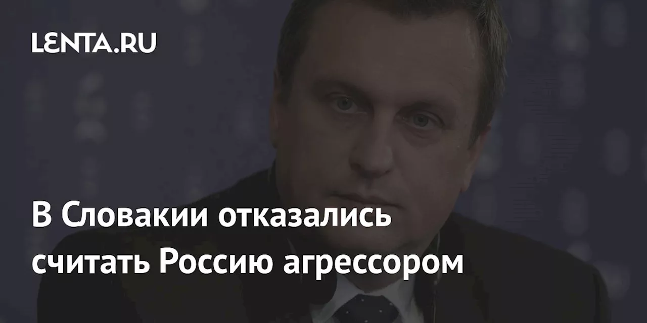 В Словакии отказались считать Россию агрессором