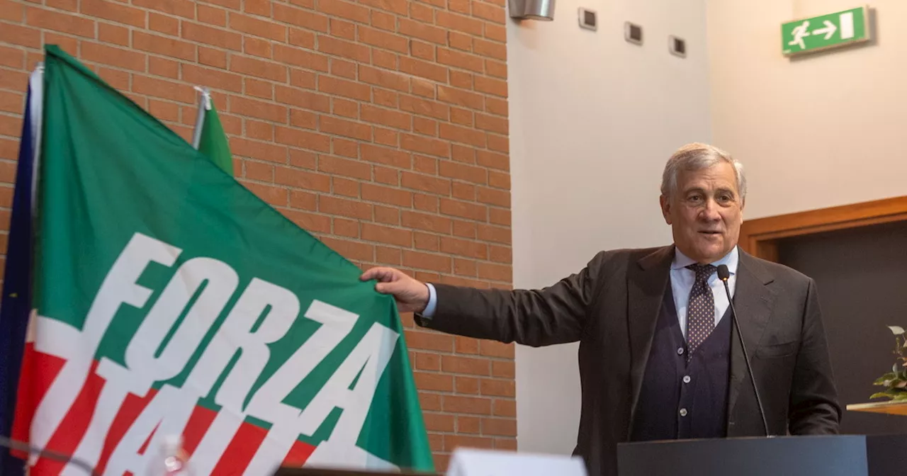 Forza Italia, sondaggi riservati: quanto prendono alle Europee