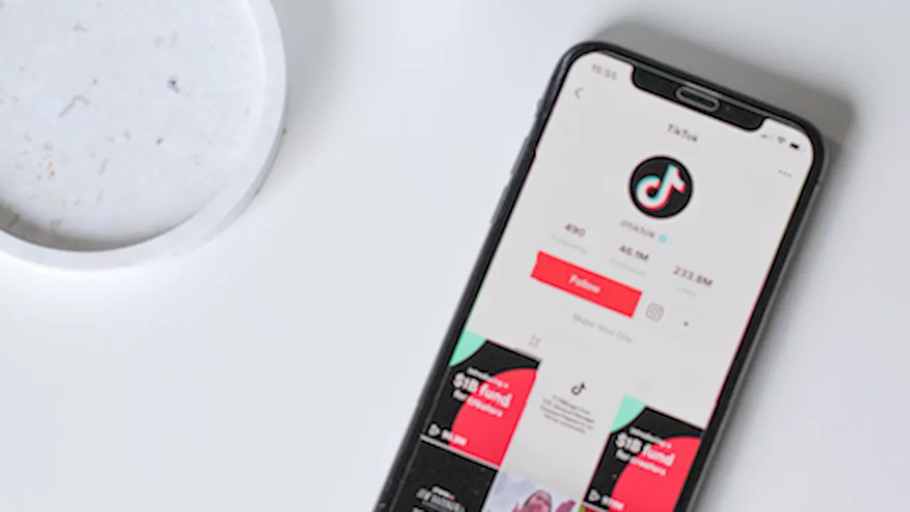 Paid content on TikTok driving brand trust, loyalty: report