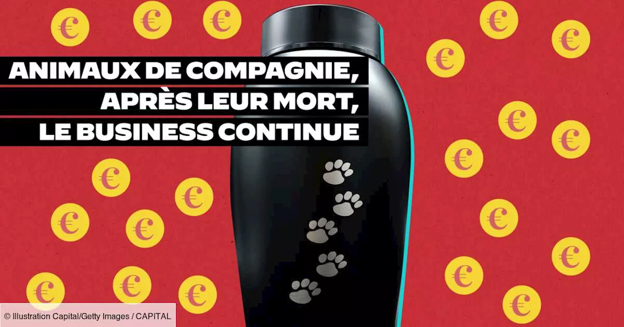 Chiens et chats : découvrez combien leurs maîtres dépensent pour les enterrer ou les incinérer