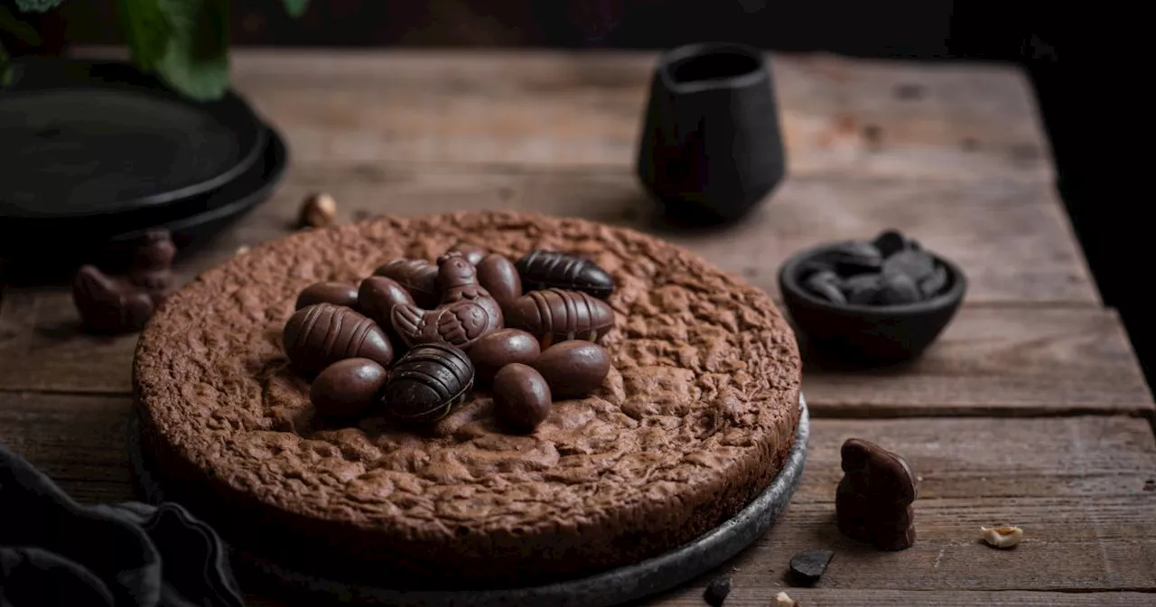 Gâteau au chocolat de Pâques ( Thermomix )