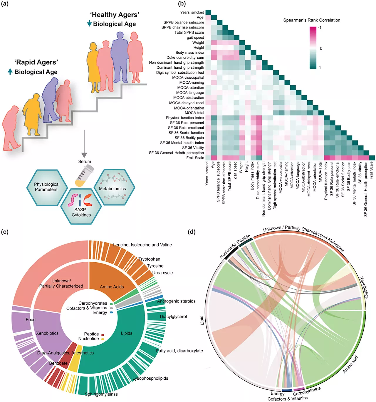 New study reveals molecular fingerprint of biological aging