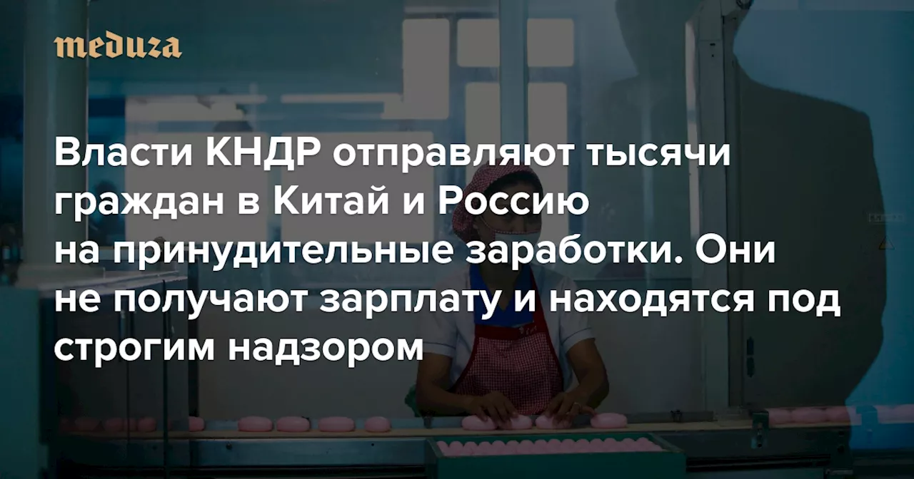 Власти КНДР отправляют тысячи граждан на принудительные заработки. Большинство трудятся в Китае, некоторые — в России Они не получают зарплату, находятся под постоянным надзором и подвергаются сексуализированному насилию — Meduza