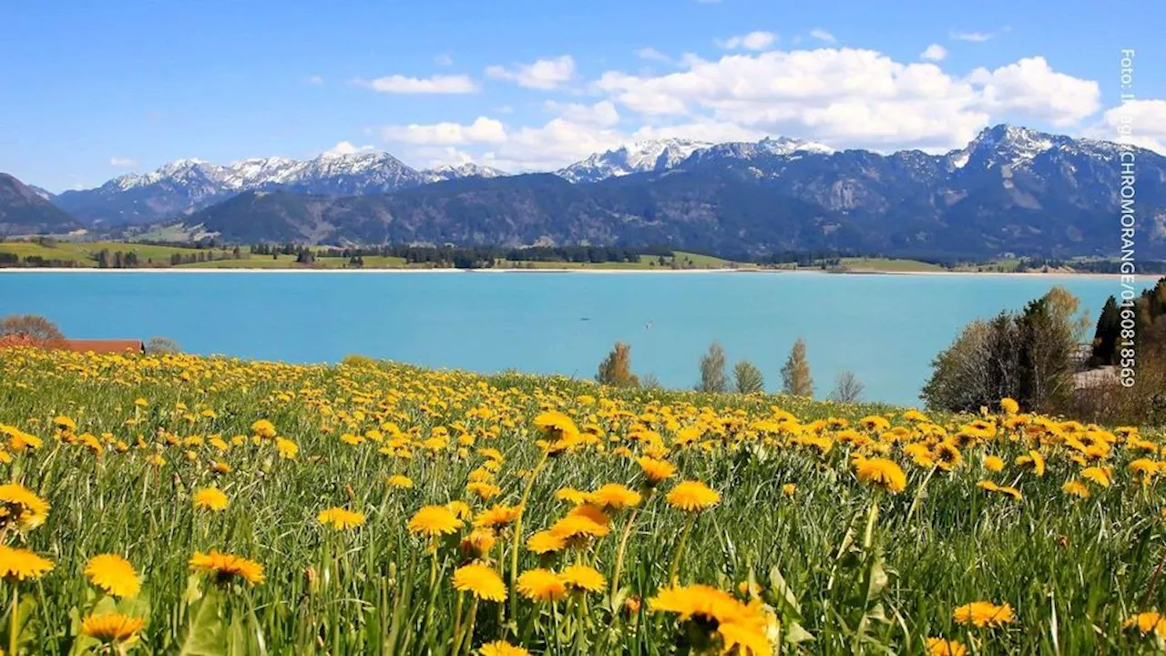 Am Walchensee: Maut auf beliebter Ausflugsstrecke wird erhöht