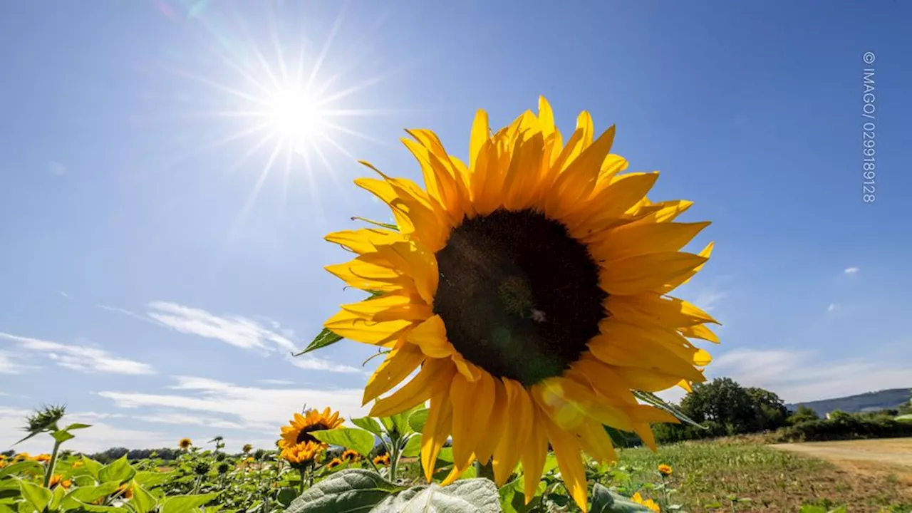 Sorgt das Wetter in Baden-Württemberg an Ostern für eine Überraschung?