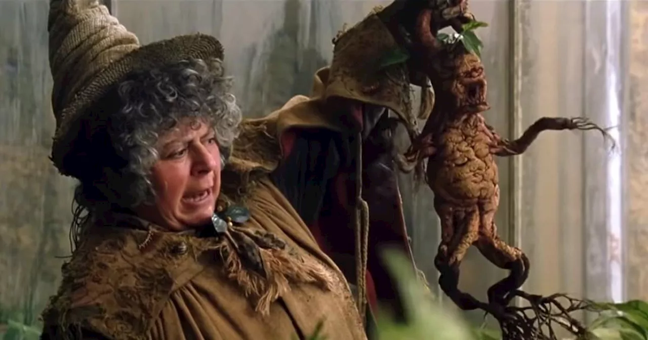 Harry Potter fans 'crushed' over Miriam Margolyes' savage declaration