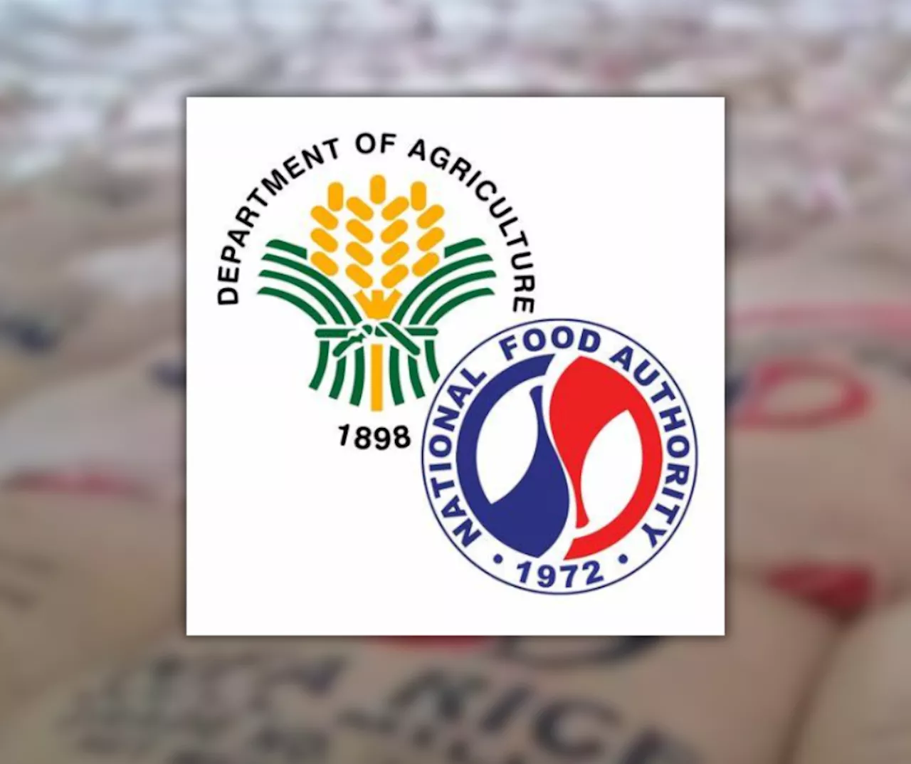 DA launches full audit of NFA rice mismanagement