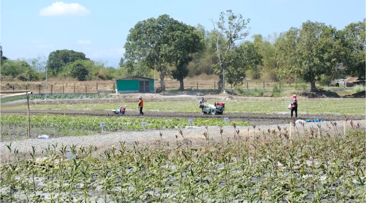 Taiwan experts show farmers how to grow their yield, income