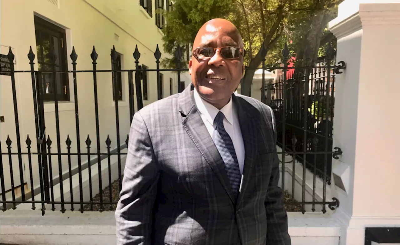 Motsoaledi elevates Zim permit dispute to ConCourt