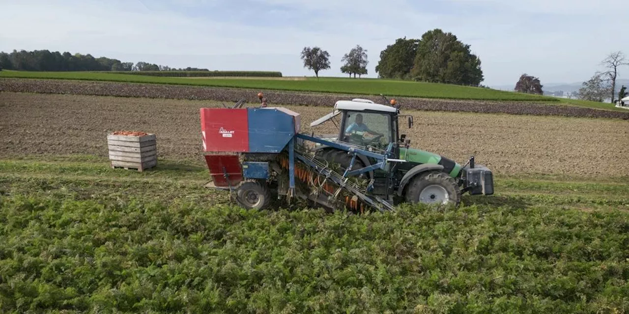 Immer mehr Bauernhöfe erhalten über 300'000 Franken vom Bund