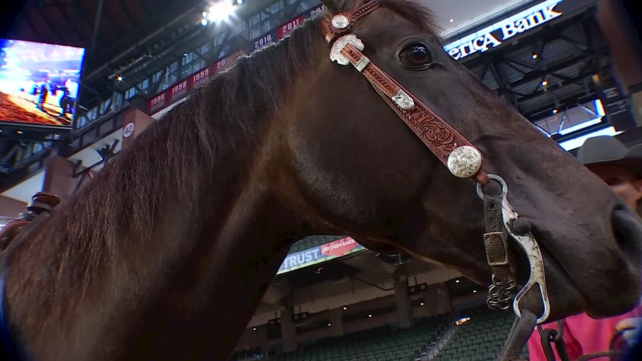 Globe Life Field transformed for American Western Weekend