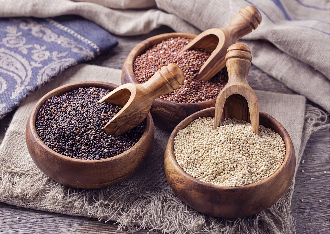 The impact of quinoa bioactive compounds on gut health