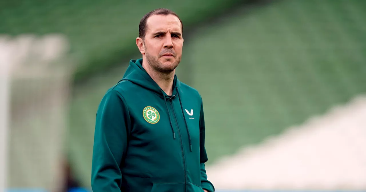 John O'Shea appointed interim Republic of Ireland manager