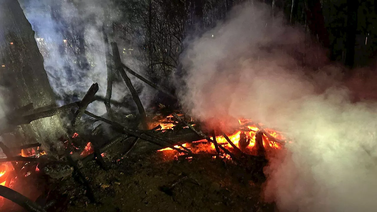 Fünf Meter hohe Flammen im Stadtwald: FF war rasch zur Stelle