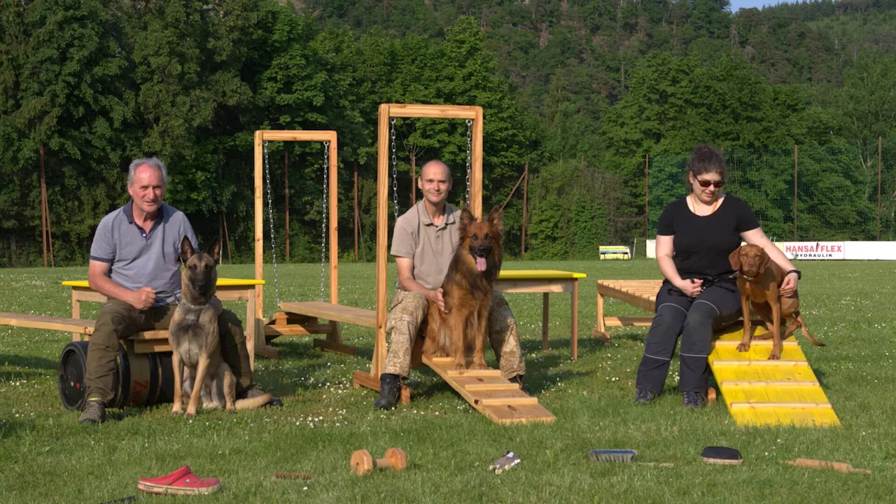 Hundeausbildung in Senftenberg: Saisonstart ist erfolgt