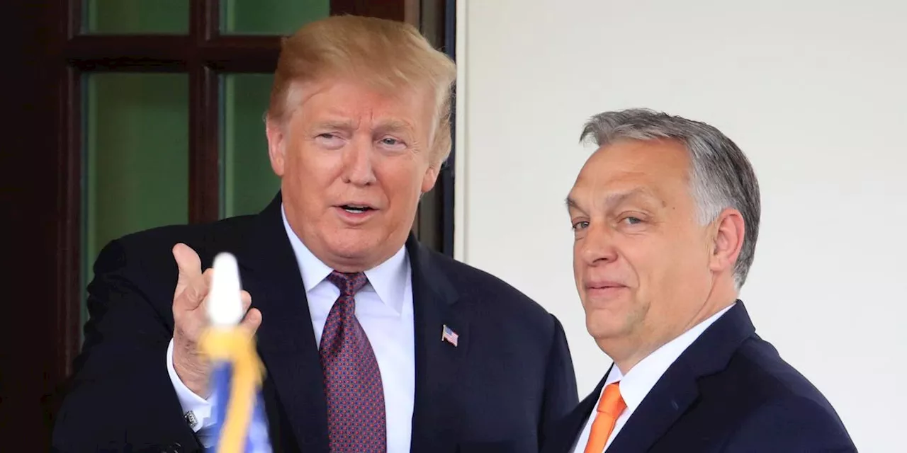 Orban lobt Trump als 'Präsident des Friedens'