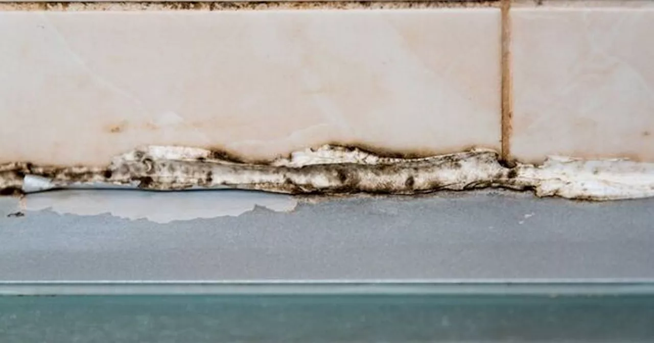 Cleaning expert shares hack to remove mould from sealant in 30 minutes