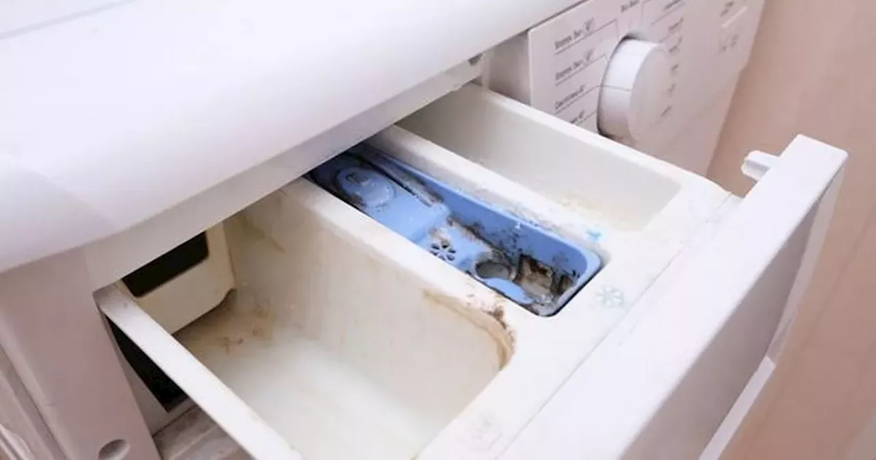 People stunned by little-known washing machine button that helps clean gunk away