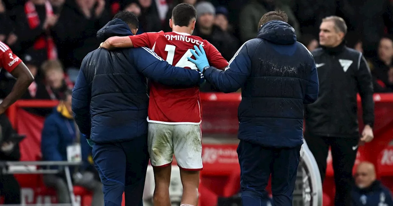 Positive injury hint ahead of Nottingham Forest's trip to Brighton