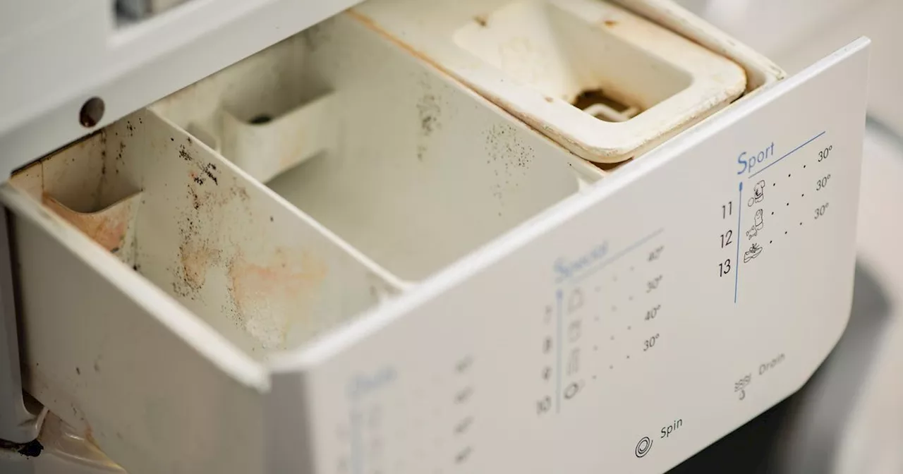 Woman shares 'little-known' button on washing machines that cleans drawer