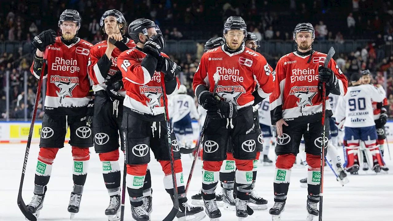 Baden-Württemberg: Adler starten mit neuer Zuversicht in Eishockey-Playoffs