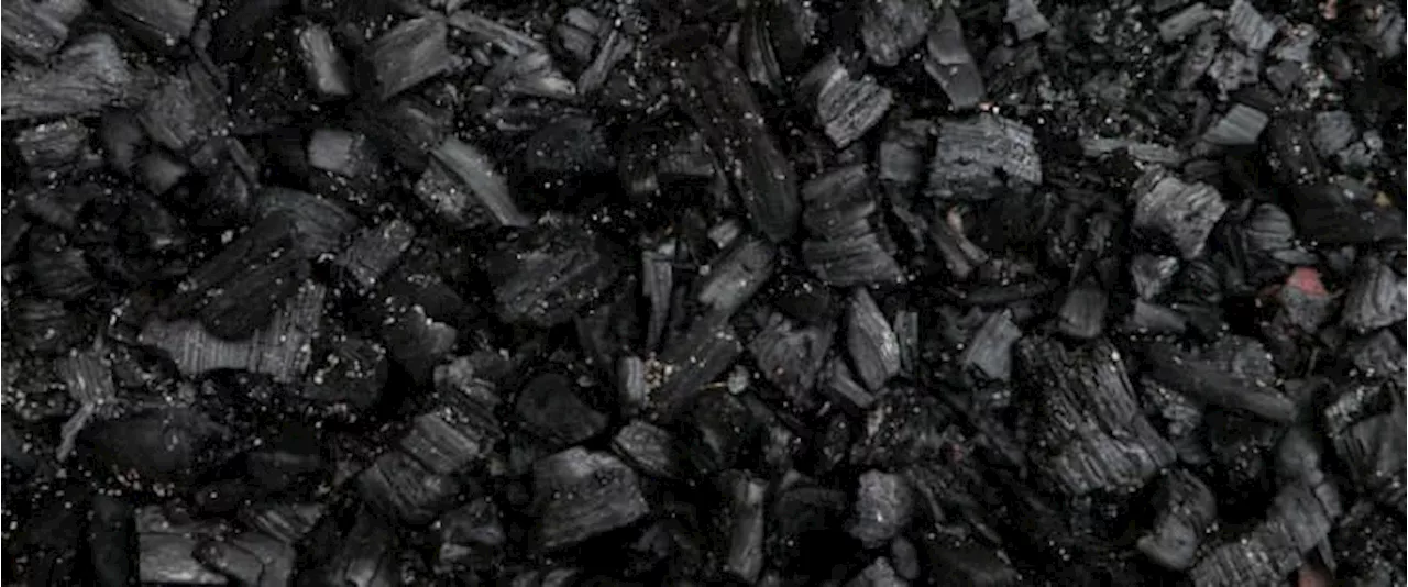 State Utility Expects China's Coal Imports to Stay Flat This Year