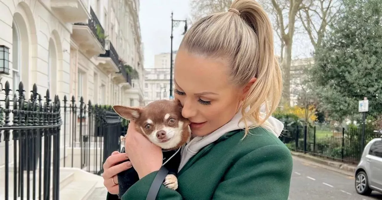 Stars pose with their adorable four-legged friends as Crufts gets underway