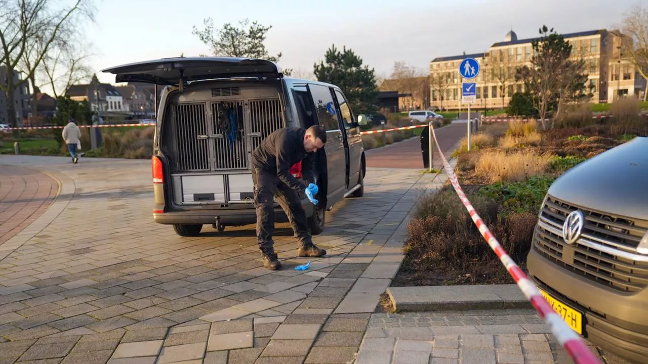 Ernstig zedenmisdrijf in park: vier minderjarige jongens opgepakt