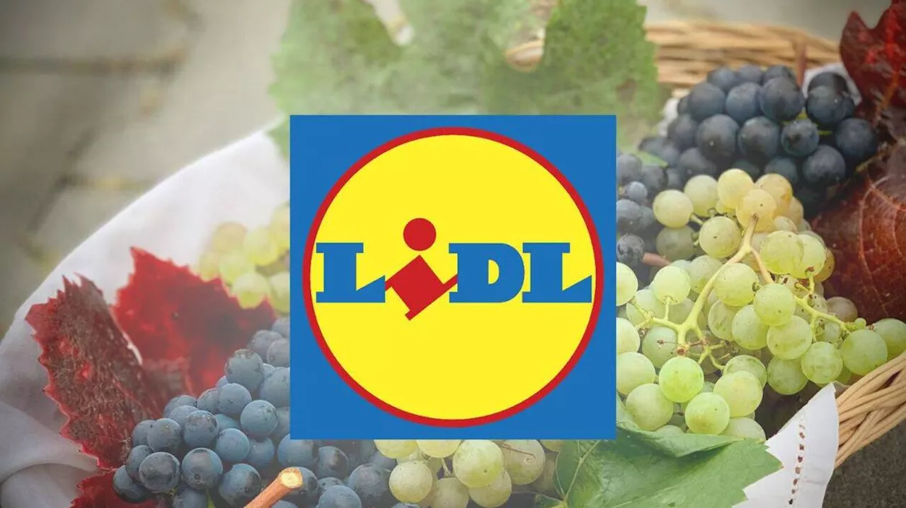 Foire aux vins Lidl : 3 bouteilles de vin à moins de 5 euros (Italie, Grèce, Espagne)