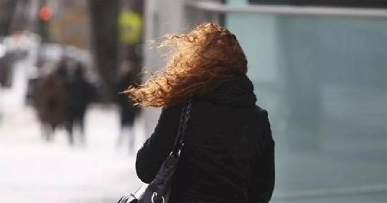 ¡Cierra las ventanas! Clima en Guanajuato para este sábado 9 de marzo prevé calor y tolvaneras