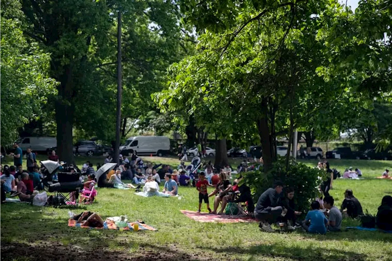 The city is removing 48 heritage trees from FDR Park. The Lenape Nation will be honoring them with a ceremony.