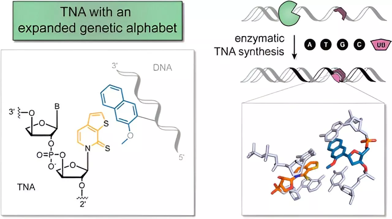 Researchers develop artificial building blocks of life