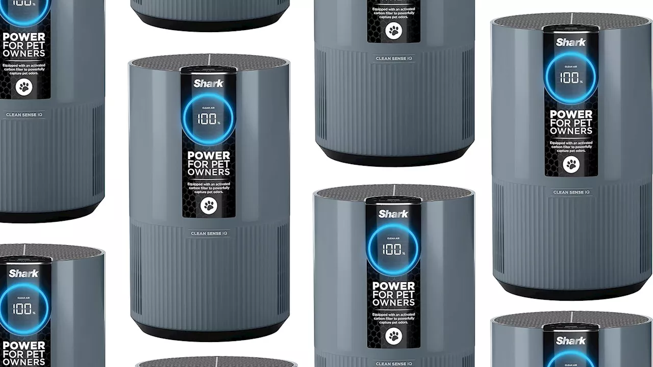 This pet-friendly air purifier from Shark is 38% off at Amazon right now