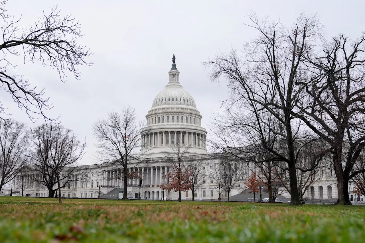 Man arrested after trying to bring hammer into Capitol, police say