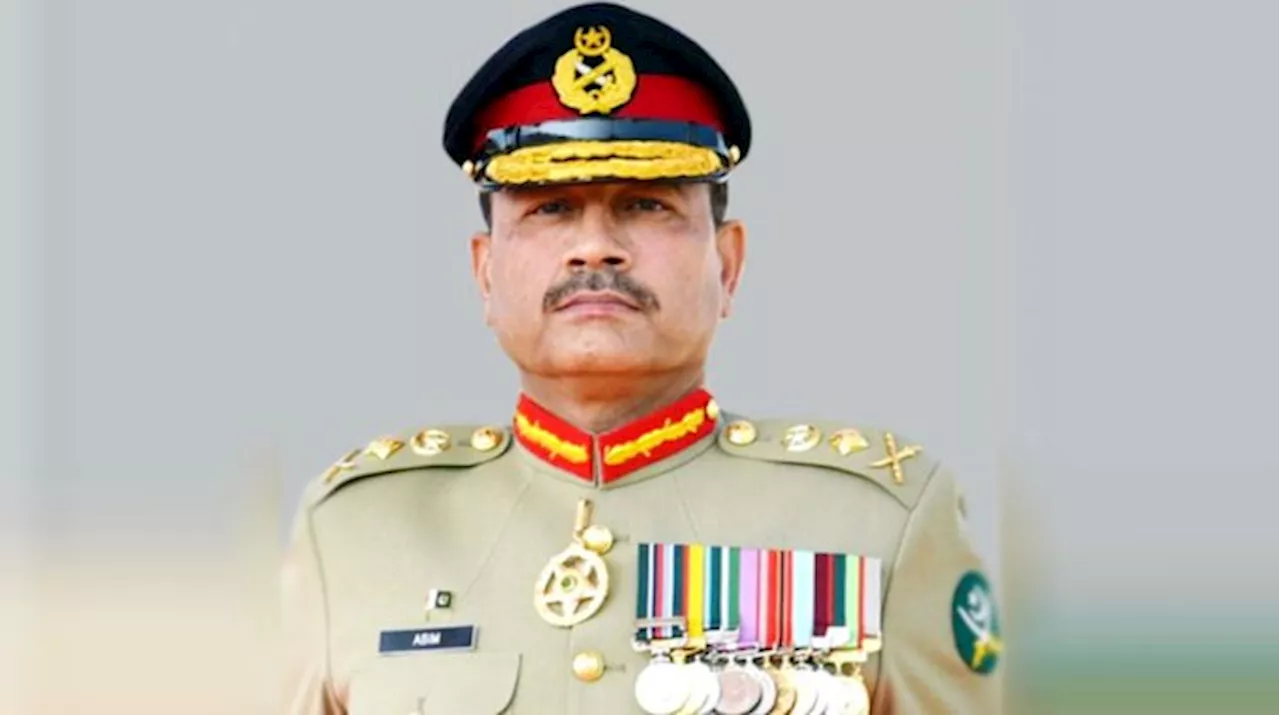 Exercise 'Shamsheer-e-Sehra': Army Chief Witnesses Fire And Battle Maneuvers