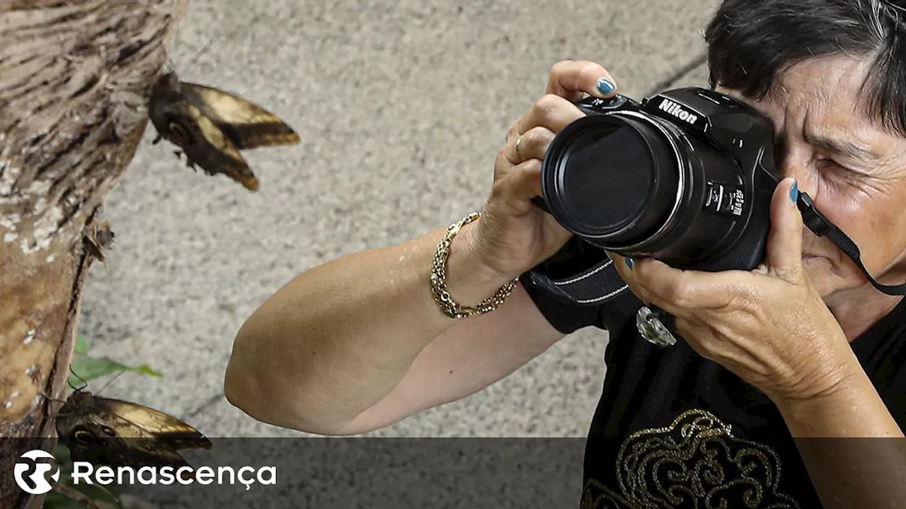 Colóquio de Fotografia da Maia quer 'dar ênfase à fotografia nacional'