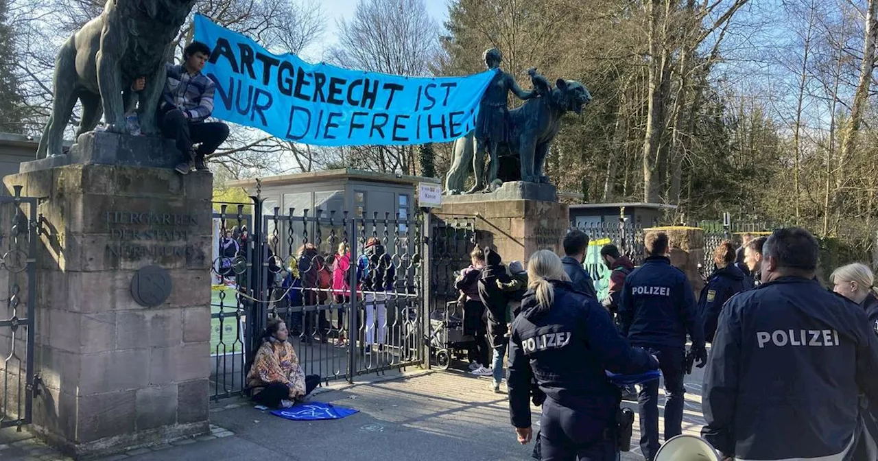 Nürnberg: Aktivisten blockieren Eingang des Tiergartens​ aus Protest gegen geplante Affentötung