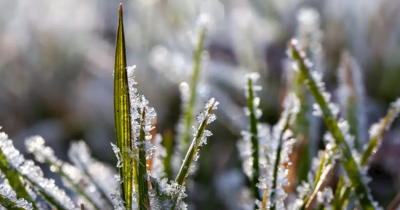 Met Eireann predict temperatures to fall to freezing before rise next week