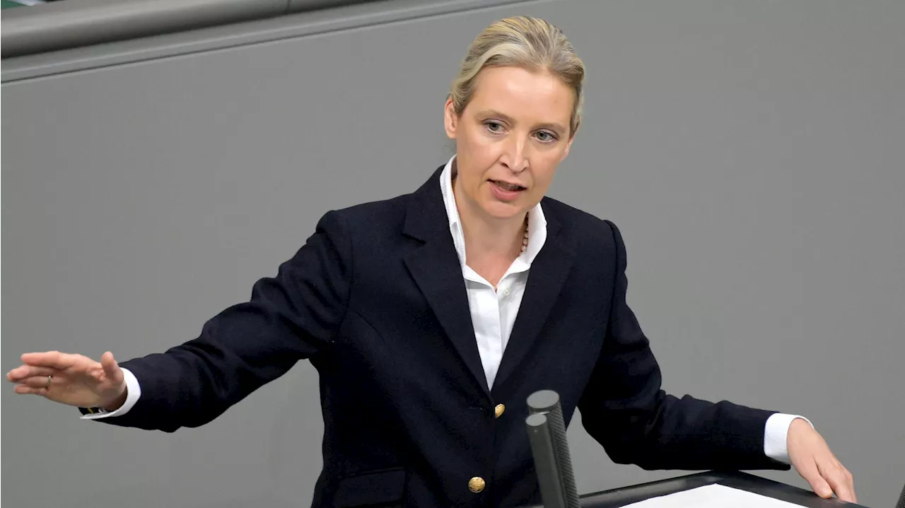 Frauen aufgepasst: Das würde ein Wahlsieg der AfD für euch bedeuten!